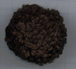 Cliquer pour agrandir